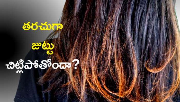  Split Ends In Hair: తరచుగా జుట్టు చిట్లిపోతోందా? ఈ హెయిర్‌ మాస్క్‌తో కేవలం 2 రోజుల్లో చెక్‌ పెట్టొచ్చు!