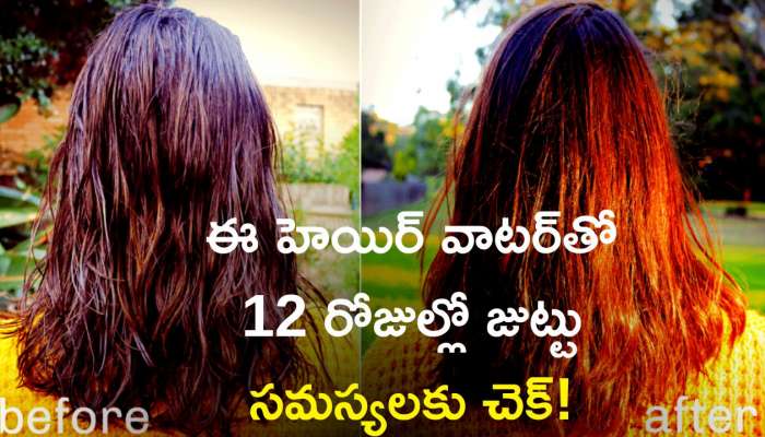  Hair Care Tips: జుట్టు సమస్యలేవైనా సరే.. ఈ హెయిర్ వాటర్‌తో 12 రోజుల్లో తగ్గుతాయి!