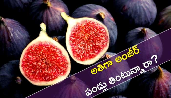 Figs Side Effects: అతిగా అంజీర్‌ పండ్లు తింటున్నారా? అయితే చాలా ప్రమాదం!