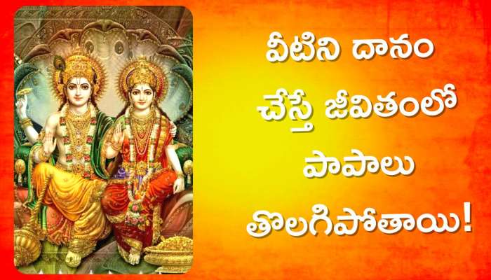  Nirjala Ekadashi 2023: నిర్జల ఏకాదశి వ్రతాన్ని పాటించి, వీటిని దానం చేస్తే జీవితంలో పాపాలు తొలగిపోతాయి!