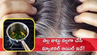 Premature White Hair​: తెల్ల జుట్టు నల్లగా చేసే మ్యాజికల్ ఆయిల్ ఇదే!