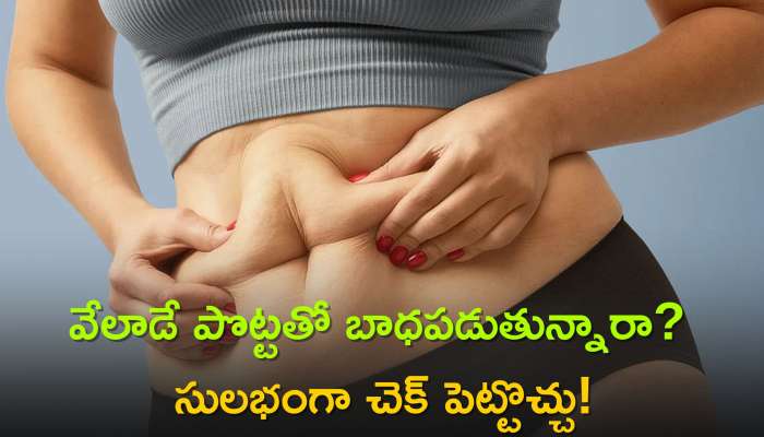 Reduce Belly Fat in 14 Days: బెల్లీ ఫ్యాట్ సమస్యలా..? మెంతి విత్తనాలు ఉండగా భయమెలా!