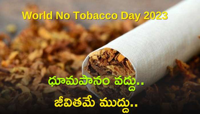 World No Tobacco Day 2023: ధూమపానం వద్దు.. జీవితమే ముద్దు.. ఈరోజే పొగాకు వ్యతిరేక దినోత్సవం