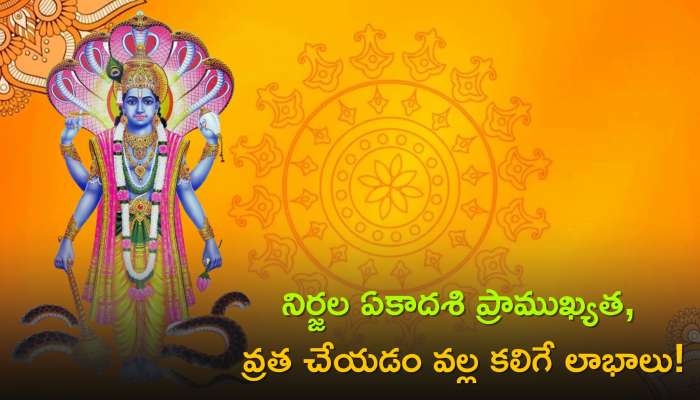 Nirjala Ekadashi 2023: నేడే నిర్జల ఏకాదశి.. వ్రతం ఇలా చేస్తే సంపన్నులు అవ్వటం ఖాయం