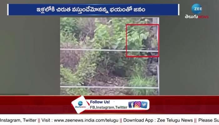 cheetah Found in Tirupati Video Goes viral in social media 