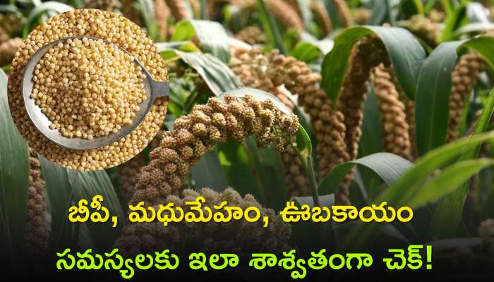 Millet: బీపీ, మధుమేహం, ఊబకాయం సమస్యలను తగ్గించే మిల్లెంట్స్‌ ఆహారాలు ఇవే!