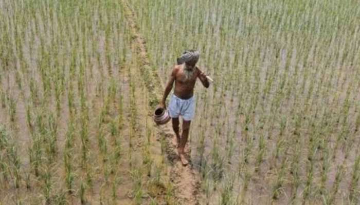 MSP for Kharif Crops: రైతుల ఆదాయాన్ని పెంచేందుకు కేంద్రం కీలక నిర్ణయం.. పంటల మద్దతు ధర పెంపు