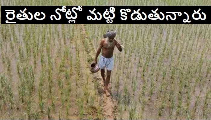 Fake Seeds Alert: రైతులకు బిగ్ అలర్ట్.. మార్కెట్లోకి అచ్చం ఒరిజినల్ లాంటి నకిలి విత్తనాలు