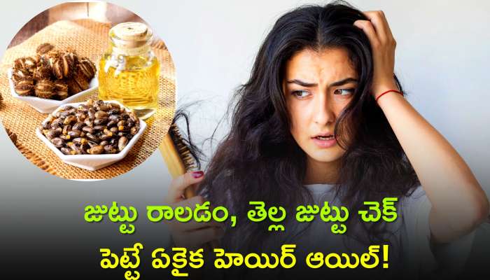 Hairfall Control Oil: జుట్టు రాలడం, తెల్ల జుట్టు సమస్యలను తగ్గించే ఏకైక హెయిర్‌ ఆయిల్‌!