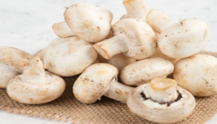 Mushroom Benefits: వామ్మో... పుట్టగొడుగులు తినడం వల్ల ఇన్ని లాభాలు ఉన్నాయా?