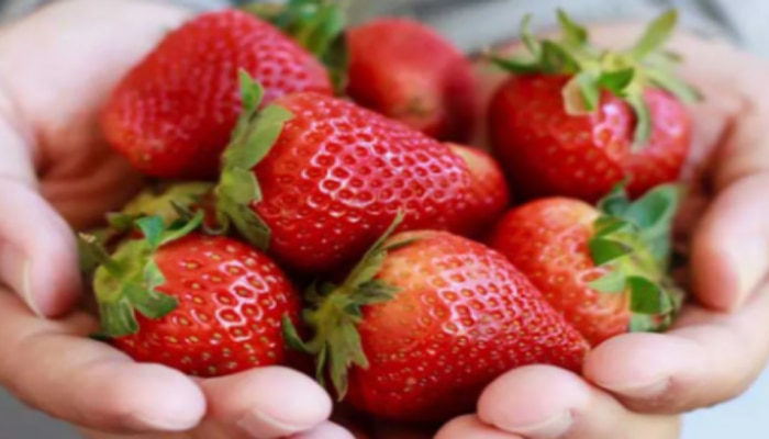 Strawberries Benefits: స్ట్రాబెర్రీతో ఇన్ని లాభాలా.. తెలిస్తే అస్సలు వదలరు