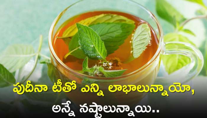 Mint Green Tea Side Effects: పుదీనా టీతో ఎన్ని లాభాలున్నాయో, అన్నే నష్టాలున్నాయి.. అతిగా తాగుతున్నారా?