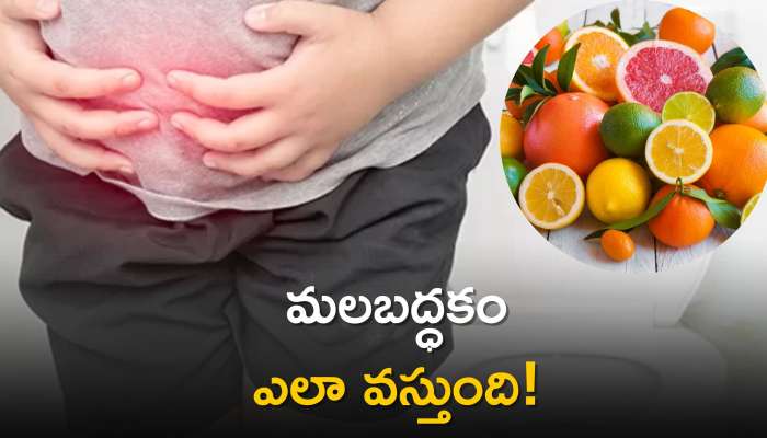 Immediate Constipation Relief Fruits: క్షణాల్లో మలబద్దకం నుండి విముక్తి కలిగించే ఫ్రూట్స్