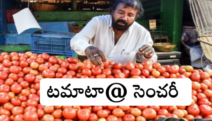 Vegetable Prices: మంట పెడుతున్న కూరగాయల ధరలు.. టమాటా, మిర్చి వందకు పైమాటే!