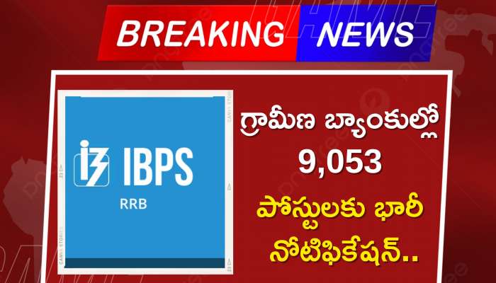 Ibps Rrb Recruitment 2023: గ్రామీణ బ్యాంకుల్లో 9,053 పోస్టులకు భారీ నోటిఫికేషన్.. ఈ రోజే లాస్ట్ డేట్.. అప్లై చేయకపోతే ఇలా చేయండి..