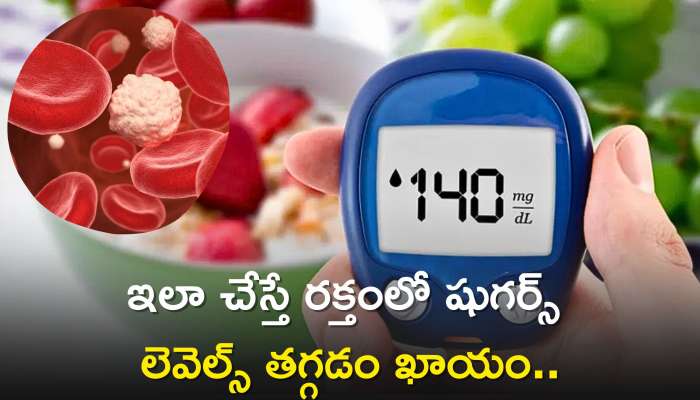 How To Control Blood Sugar: డయాబెటిస్ తగ్గడానికి ఉత్తమ చిట్కాలు ఇవే..ఇలా చేస్తే రక్తంలో షుగర్స్‌ లెవెల్స్‌ తగ్గడం ఖాయం..