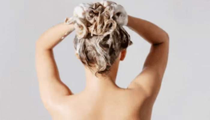 Hair Care Tips: ఈ హోమ్ మేడ్ హెయిర్ కండీషనర్ వాడితే అన్ని కేశ సమస్యలు దూరం