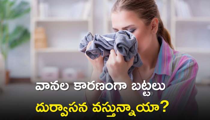 Musty Smell From Clothes: వానల కారణంగా బట్టలు దుర్వాసన వస్తున్నాయా?, ఇలా చేయండి చాలు..