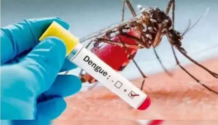 Dengue Alert: వర్షాకాలం వచ్చేసింది, డెంగ్యూ జాగ్రత్తలు ఎలా తీసుకోవాలి, డెంగ్యూ సోకితే ఏం చేయాలి
