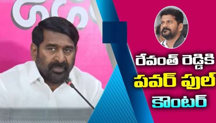 Revanth Reddy Comments: ఉచిత విద్యుత్‌పై రేవంత్ రెడ్డి సంచలన వ్యాఖ్యలు.. రాష్ట్రంలో తీవ్ర దుమారం