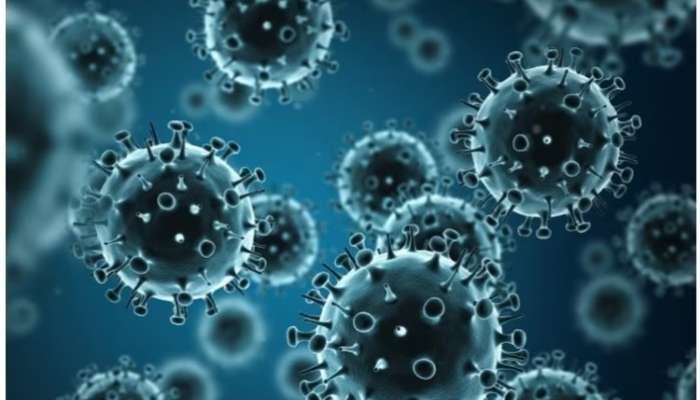 Influenza Virus: వర్ఖాకాలంలో ఇన్‌ఫ్లుయెంజా వైరస్ ముప్పు, లక్షణాలేంటి, ఎలా రక్షించుకోవాలి