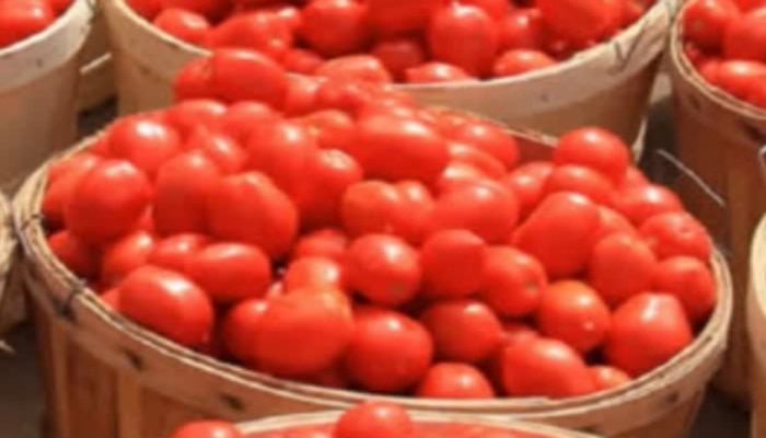 Tomato Price: చుక్కలు చూపిస్తున్న టమాటా ధర.. ఆ మార్కెట్లో కిలో టమాటా రూ.300కు పైనే..!