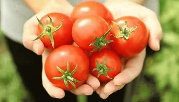 Tomato Side Effects: ధర ఎక్కువని కాదు..ఆరోగ్యపరంగా కూడా నష్టమే, టొమాటోలు తినవద్దు