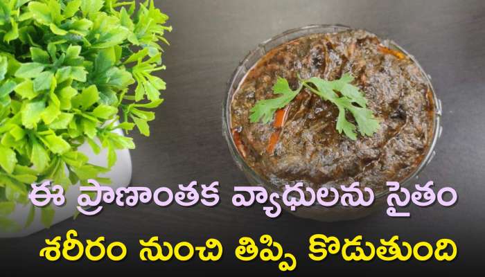 Gongura Pachadi Benefits: గోంగూరతో బోలెడు లాభాలు, ఈ ప్రాణాంతక వ్యాధులను సైతం శరీరం నుంచి తిప్పి కొడుతుంది