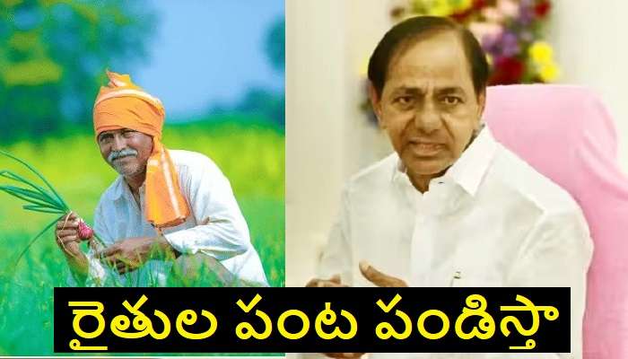Food Processing Units In Telangana: తెలంగాణలో రైతుల కోసం ఫుడ్ ప్రాసెసింగ్ యూనిట్స్