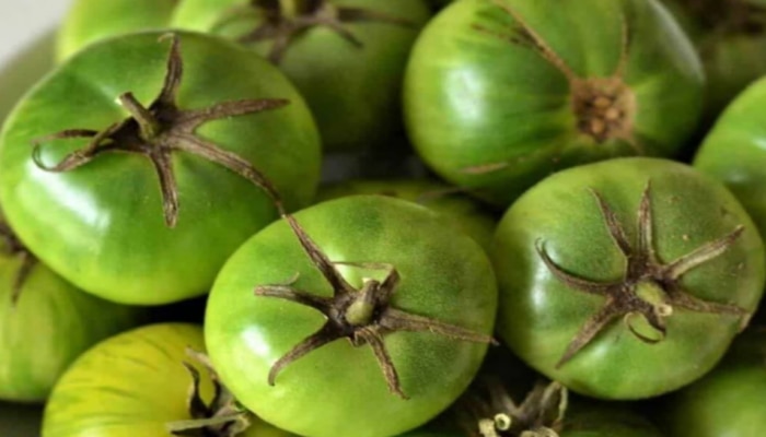 Benefits Of Green Tamato: పచ్చి టమాటా తినడం వల్ల ఇన్ని లాభాలు ఉన్నాయా?