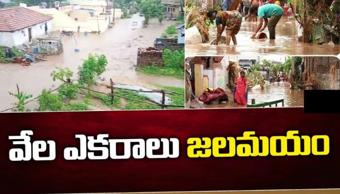 Telangana, AP Rains News Live Updates: వరద బీభత్సం.. వేల ఎకరాలు జలమయం