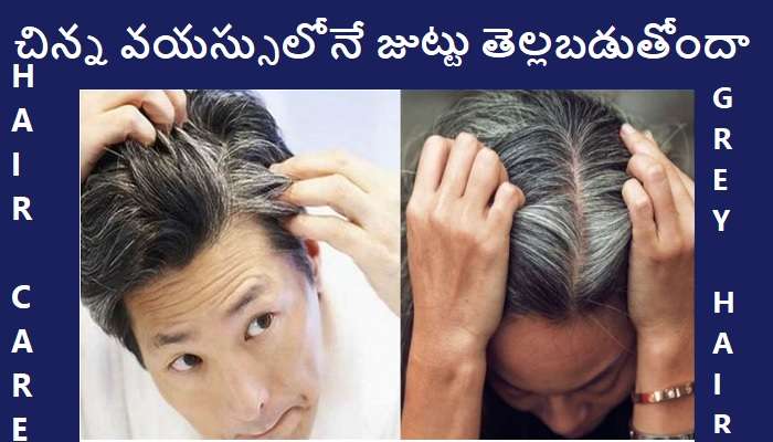 How To Stop White Hair: జుట్టు తెల్లబడకుండా ఉండటం మీ చేతుల్లోనే..