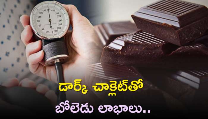 Dark Chocolate For Blood Pressure: డార్క్ చాక్లెట్‌తో బోలెడు లాభాలు..రక్తపోటుతో బాధపడే వారికి దివ్య ఔషధం..