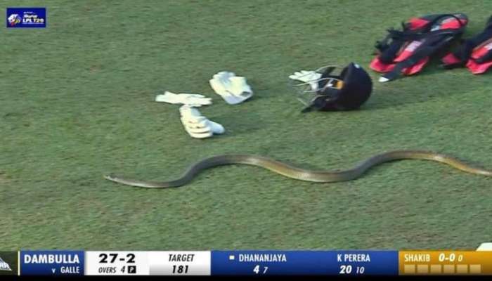 Snake in Cricket Ground: మ్యాచ్ మధ్యలో అనుకోని అతిథి.. క్రికెట్‌ గ్రౌండ్‌లోకి పాము ఎంట్రీ..! 