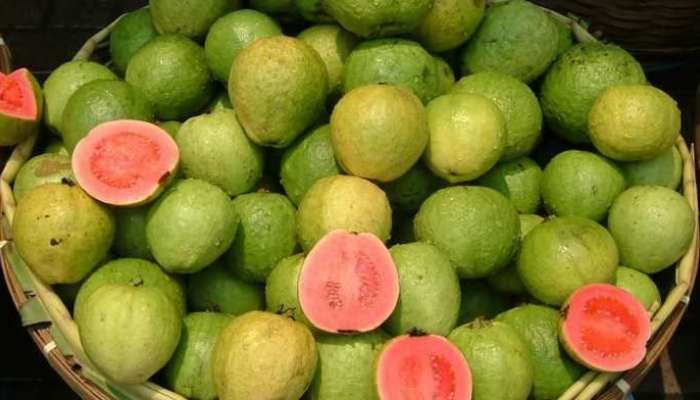 Guava Benefits: జాంకాయలు ఎప్పుడు ఏ సమయంలో తింటే మంచిది, కలిగే ఆరోగ్య ప్రయోజనాలేంటి
