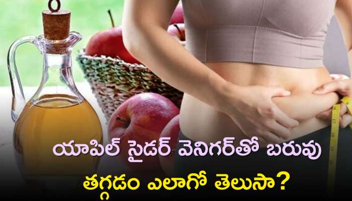 Apple Cider Vinegar For Weight Loss: యాపిల్ సైడర్ వెనిగర్‌తో బరువు తగ్గడం ఎలాగో తెలుసా?