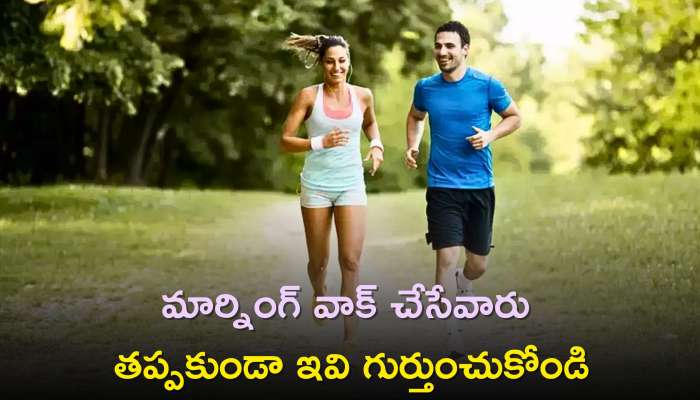 Morning Walk: మార్నింగ్‌ వాక్ చేసేవారు తప్పకుండా ఇవి గుర్తుంచుకోండి..ఎందుకో తెలుసా?