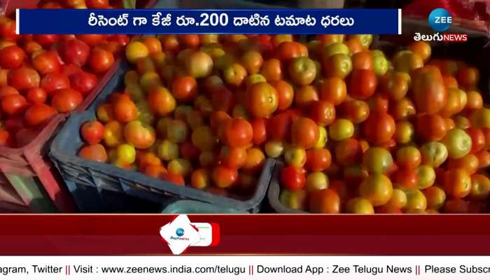 Tomato Price: Finally reduced tomato prices