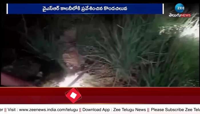 Python Snake Play in Bukkapatnam Mandal of Sathya Sai District Video Goes to Viral in Social Media