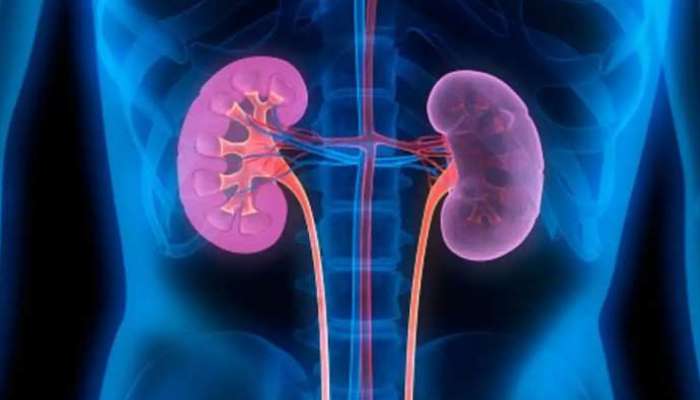 Kidney Problems: కిడ్నీ సమస్యను గుర్తించే ప్రాధమిక లక్షణాలివే, కారణాలేంటి