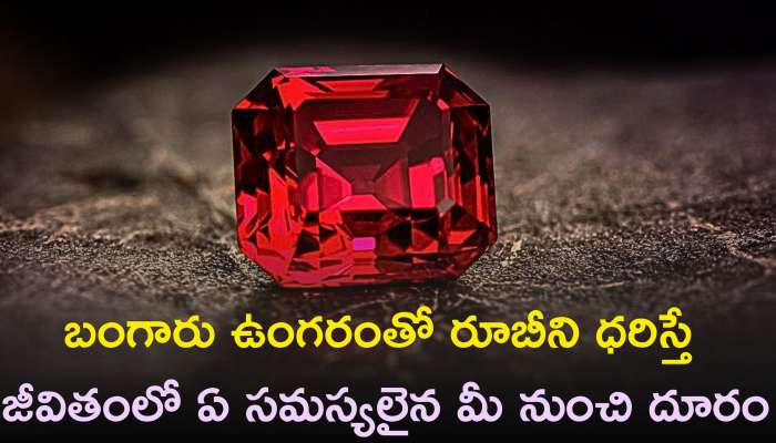 Ruby Stone Benefits: బంగారు ఉంగరంతో రూబీని ధరిస్తే జీవితంలో ఏ సమస్యలైన మీ నుంచి దూరం..కీర్తి, ప్రతిష్టలు పెరడం ఖాయం..