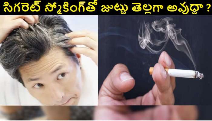 Can Smoking Cause White Hair: స్మోకింగ్ చేస్తే తెల్ల జుట్టు వస్తుందా ?
