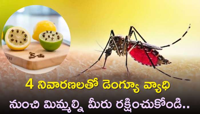 4 Ways To Prevent Dengue: 4 నివారణలతో డెంగ్యూ వ్యాధి నుంచి మిమ్మల్ని మీరు రక్షించుకోండి..