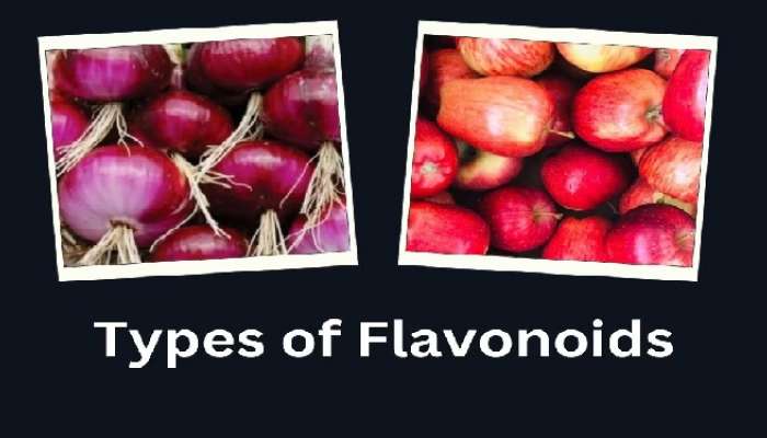 Flavonoids: కేన్సర్ ముప్పును తగ్గించే ఫ్లెవనాయిడ్స్ ఏవి, ఎన్నిరకాలు
