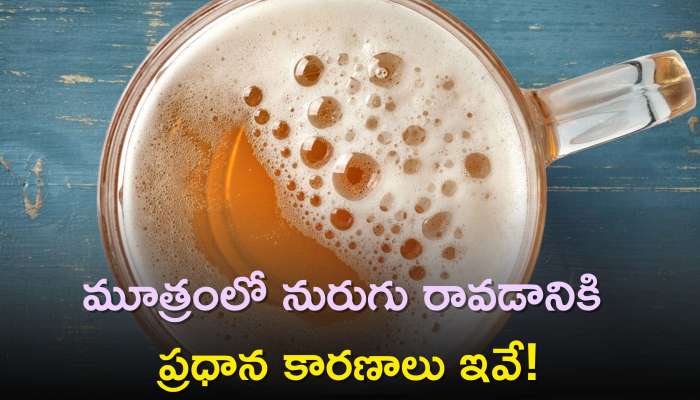 Common Causes Of Foamy Urine: మూత్రంలో నురుగు రావడానికి ప్రధాన కారణాలు ఇవే, మీరు కూడా ఇదే సమస్యతో బాధపడుతున్నారా?