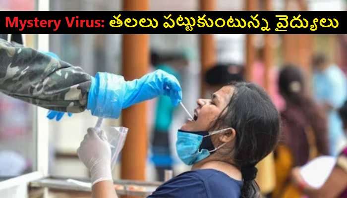 Mysterious Virus In Hyderabad: నగరంలో మరో అంతు చిక్కని మిస్టీరియస్ వైరస్