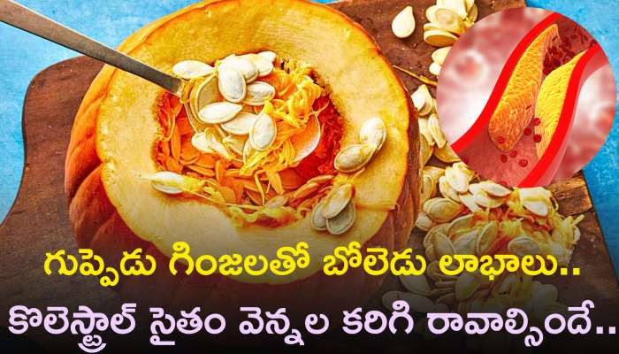 Pumpkin Seeds Benefits: గుప్పెడు గింజలతో బోలెడు లాభాలు..కొలెస్ట్రాల్ సైతం వెన్నల కరిగి రావాల్సిందే..