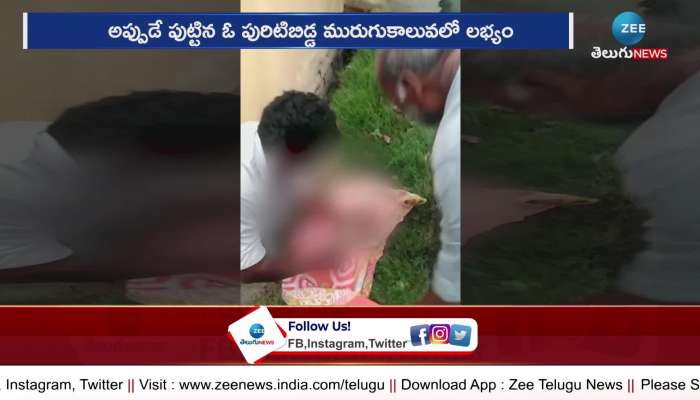 Chittoor District Latest News: Newborn baby crying in sewer