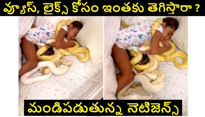 Snakes Viral Videos: పాముల మధ్యే పడుకున్న చిన్నారి.. ఒళ్లు గగుర్పొడిచే వీడియో