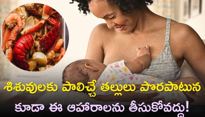  Baby Breastfeeding: శిశువులకు పాలిచ్చే తల్లులు పొరపాటున కూడా ఈ ఆహారాలను తీసుకోవద్దు!